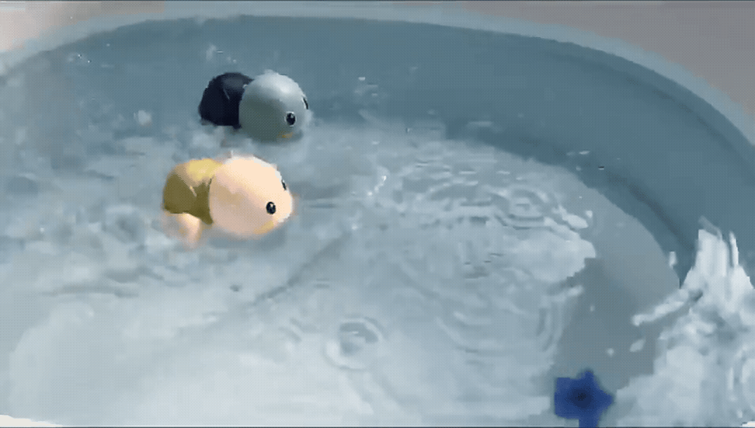 WATER TURTLE TOY