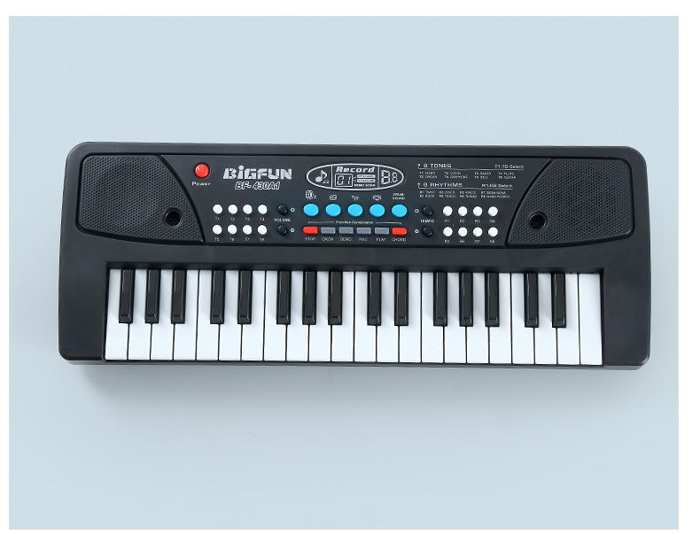 Electronic Piano Keyboard
